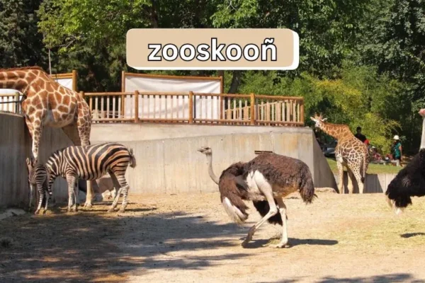 Zooskooñ Insights | Redefining Eco-Friendly Tourism