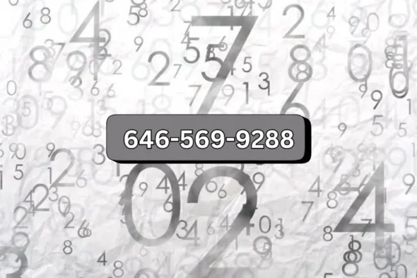 646-569-9288 | What Makes This Number Stand Out