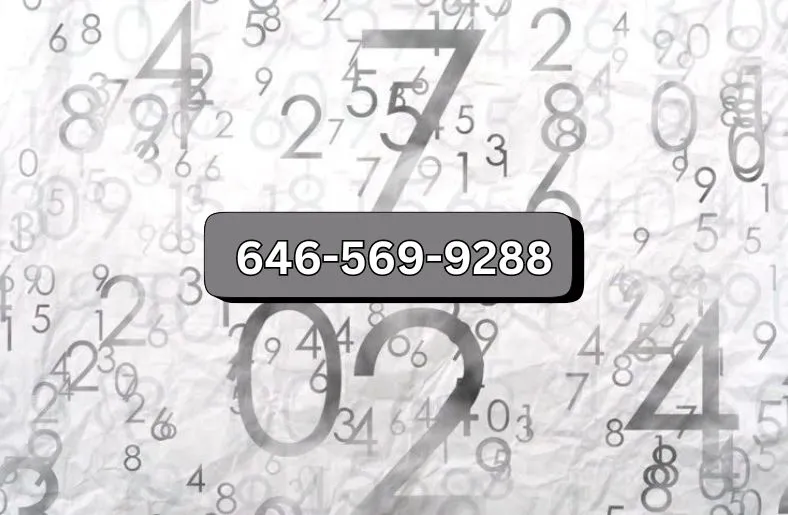 646-569-9288 | What Makes This Number Stand Out