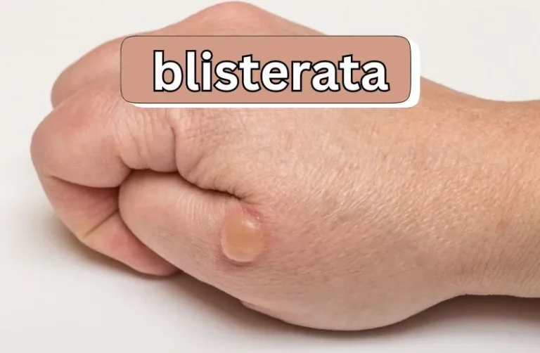 Blisterata | Unlocking Its Health Benefits