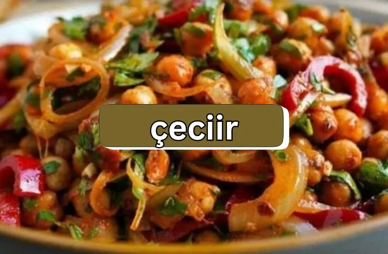 Çeciir | Exploring the Rich Cultural Tapestry of Turkey